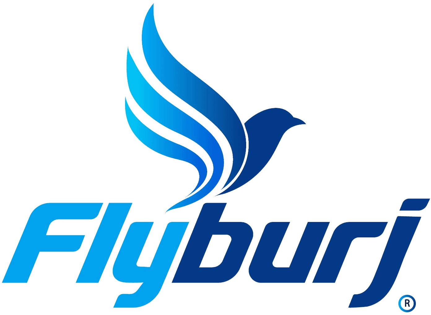 Flyburj Travels & Tourism