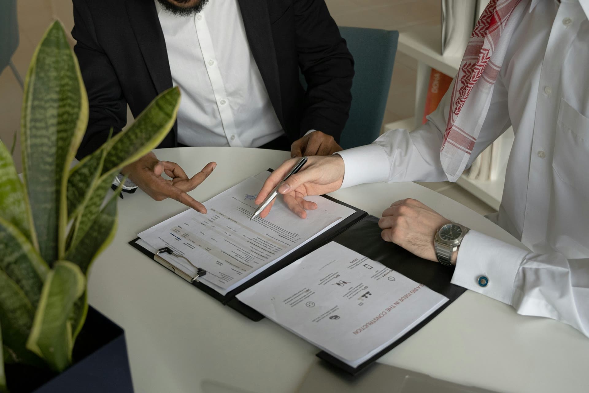 Business & Investment License